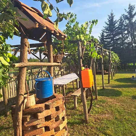 Sumarev Valjevo